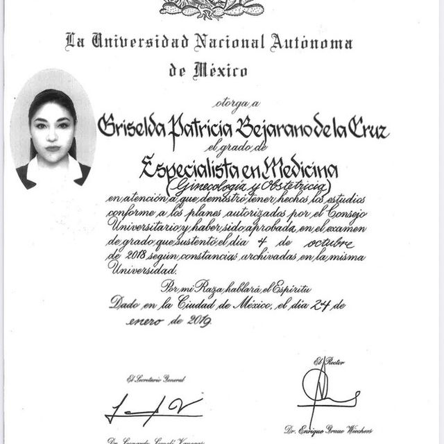 Ampliar imagen: certificate 5