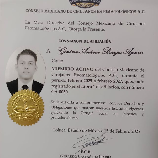 Ampliar imagen: certificate 1