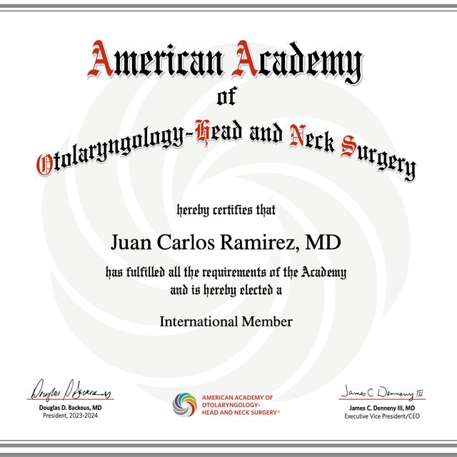 Ampliar imagen: certificate 4