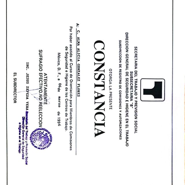 Ampliar imagen: certificate 32