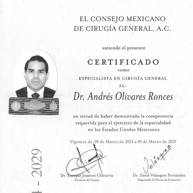 Ampliar imagen: certificate 1