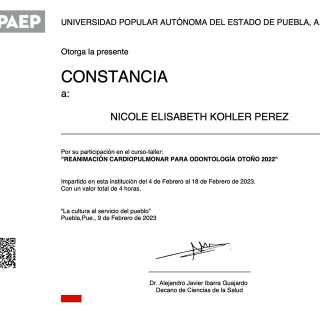 Ampliar imagen: certificate 6