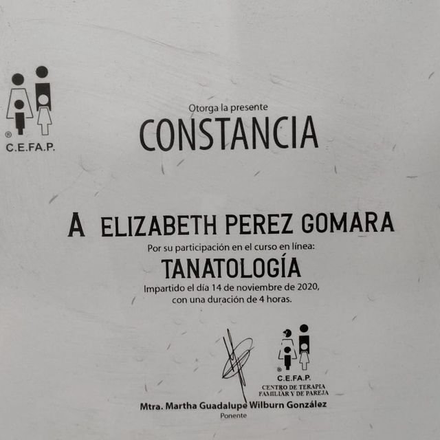 Ampliar imagen: certificate 5