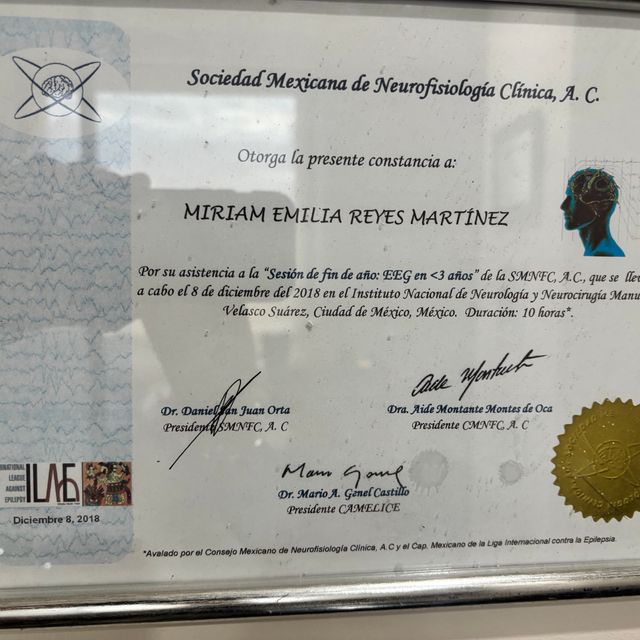 Ampliar imagen: certificate 33