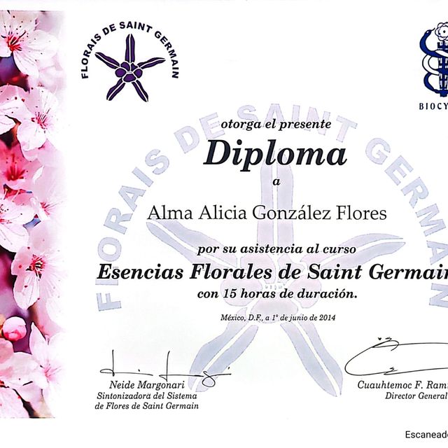 Ampliar imagen: certificate 15