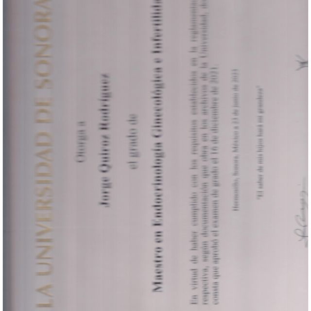 Ampliar imagen: certificate 7