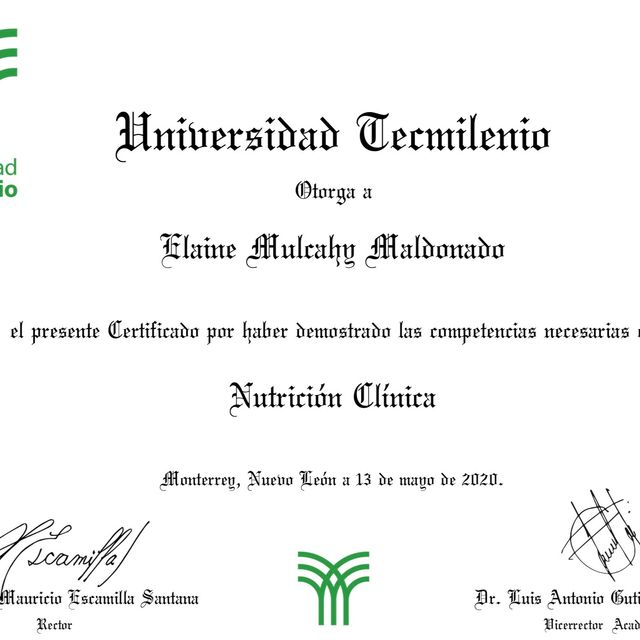 Ampliar imagen: certificate 1