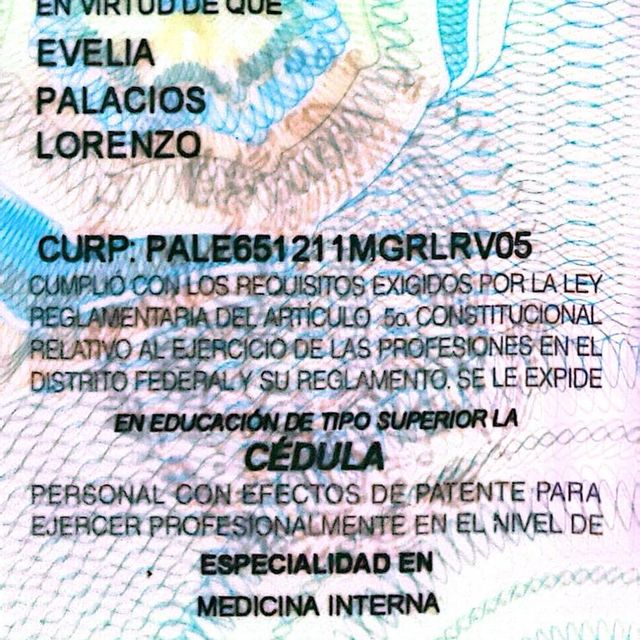 Ampliar imagen: certificate 3