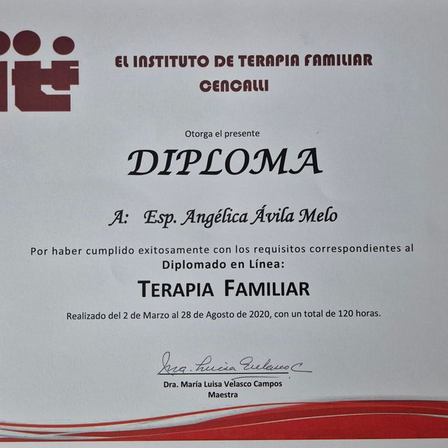 Ampliar imagen: certificate 3