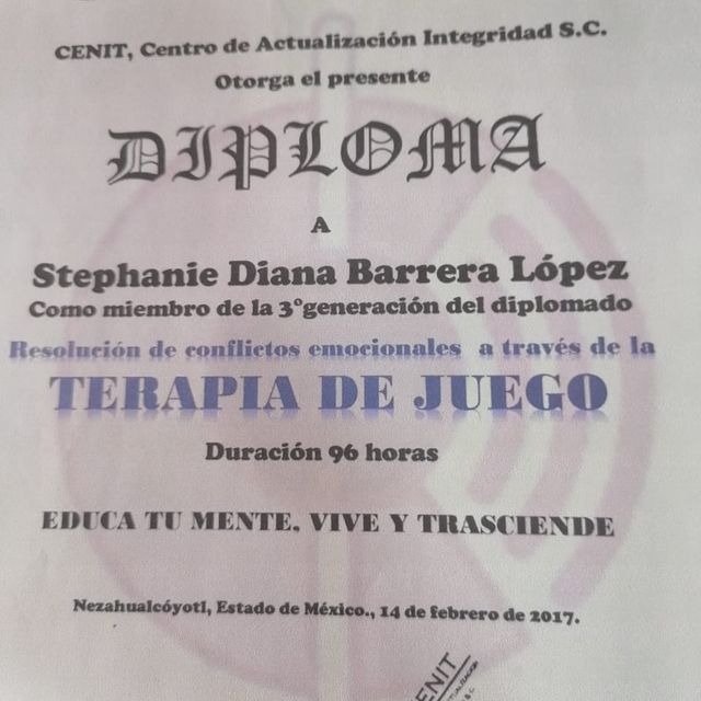Ampliar imagen: certificate 17
