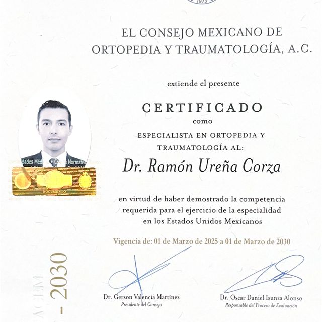 Ampliar imagen: certificate 3