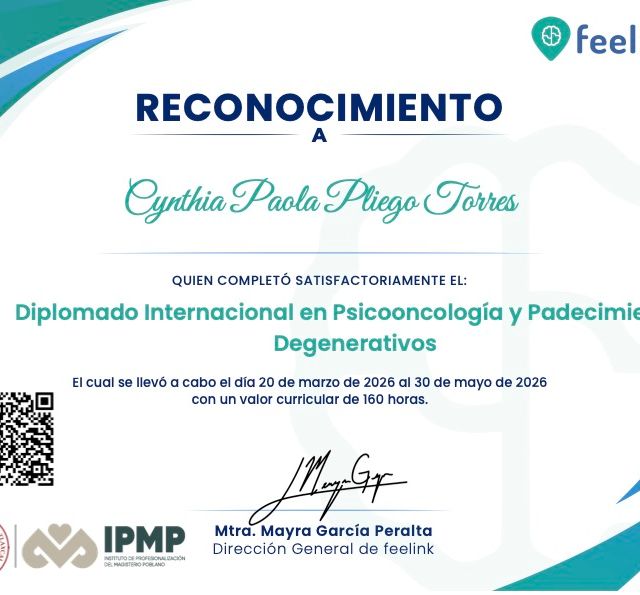 Ampliar imagen: certificate 2