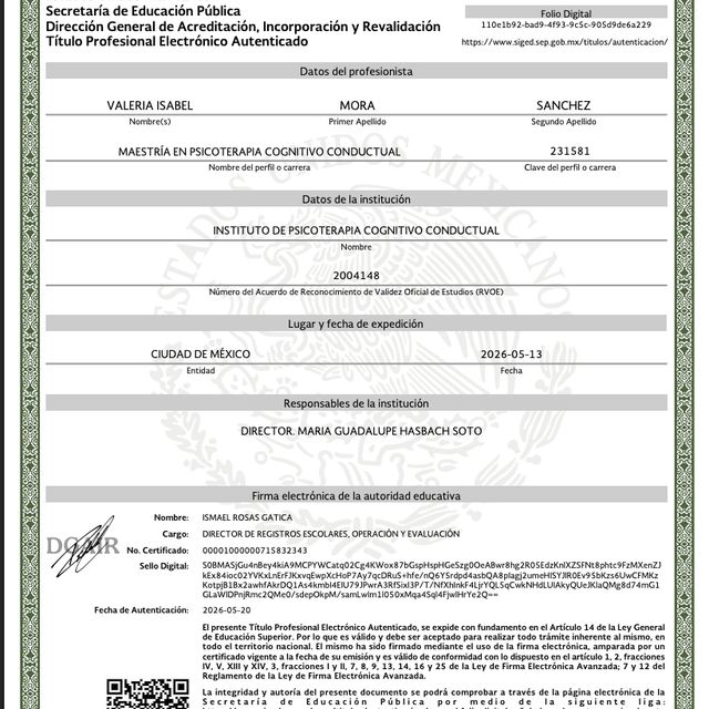 Ampliar imagen: certificate 2