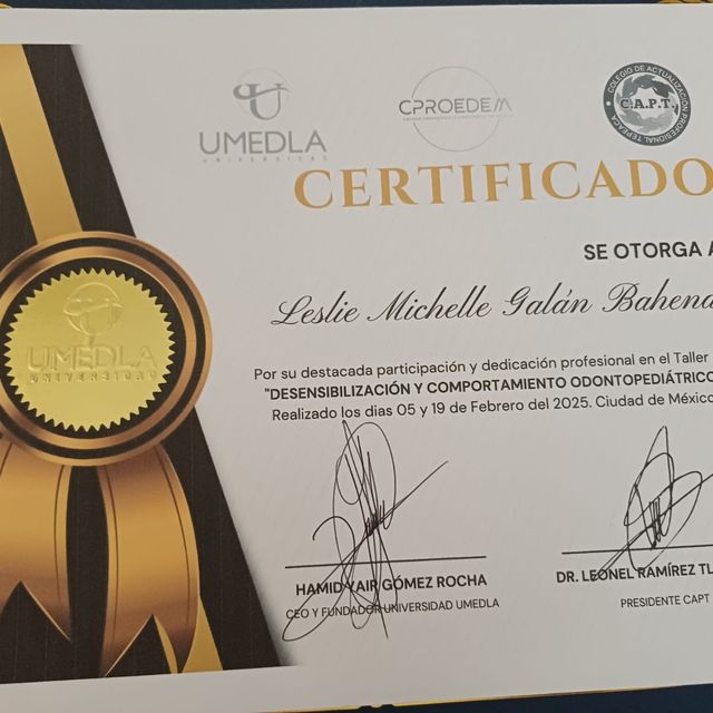Ampliar imagen: certificate 6