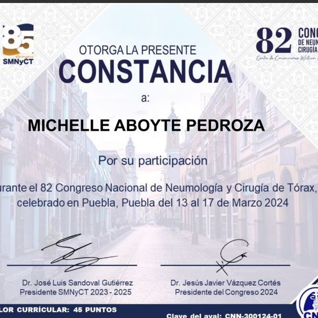 Ampliar imagen: certificate 7