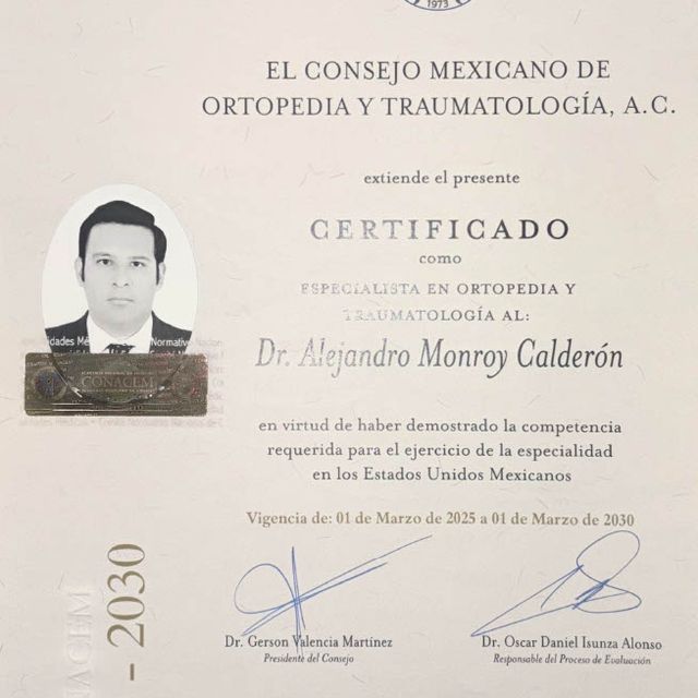 Ampliar imagen: certificate 1