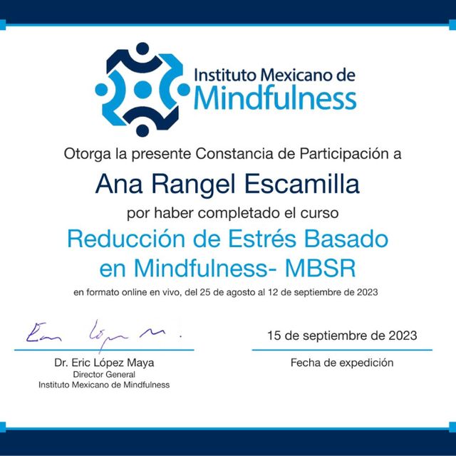 Ampliar imagen: certificate 1