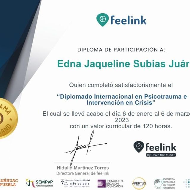 Ampliar imagen: certificate 3