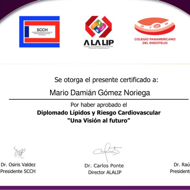 Ampliar imagen: certificate 11