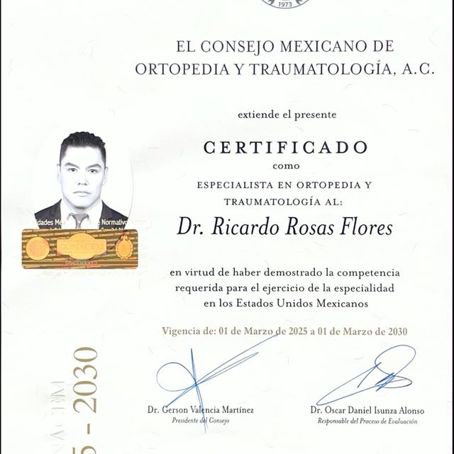 Ampliar imagen: certificate 1