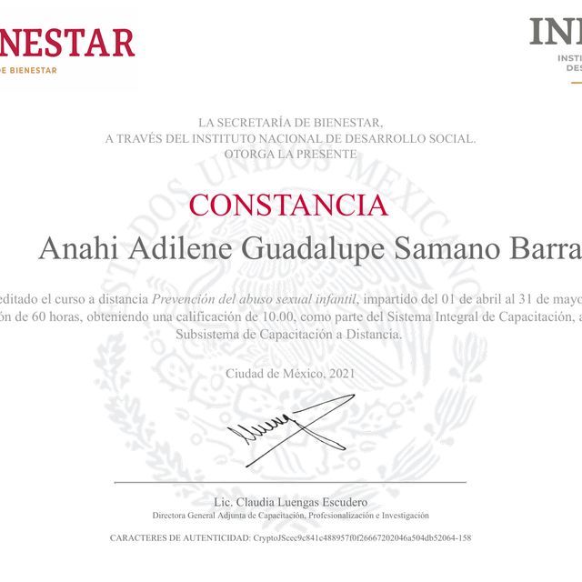 Ampliar imagen: certificate 2