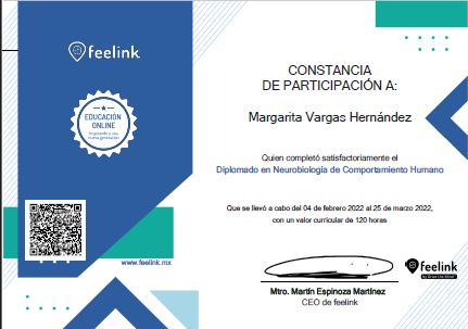 Ampliar imagen: certificate 3