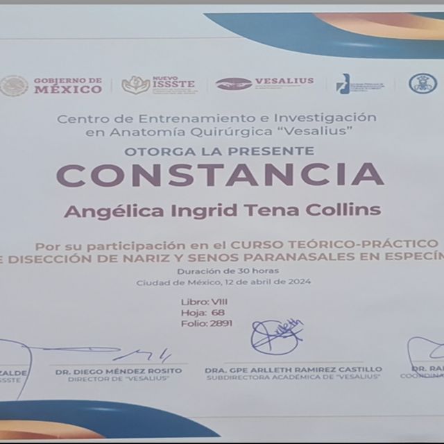 Ampliar imagen: certificate 4