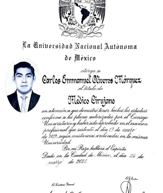 Ampliar imagen: certificate 5