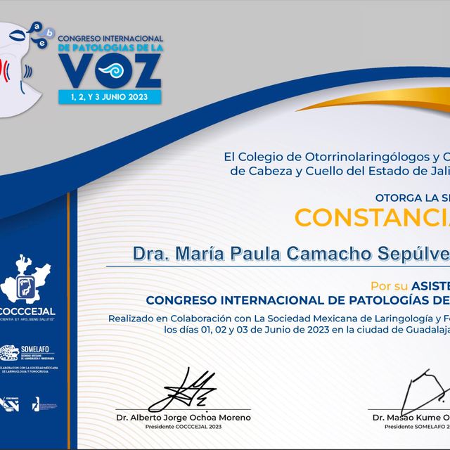 Ampliar imagen: certificate 3