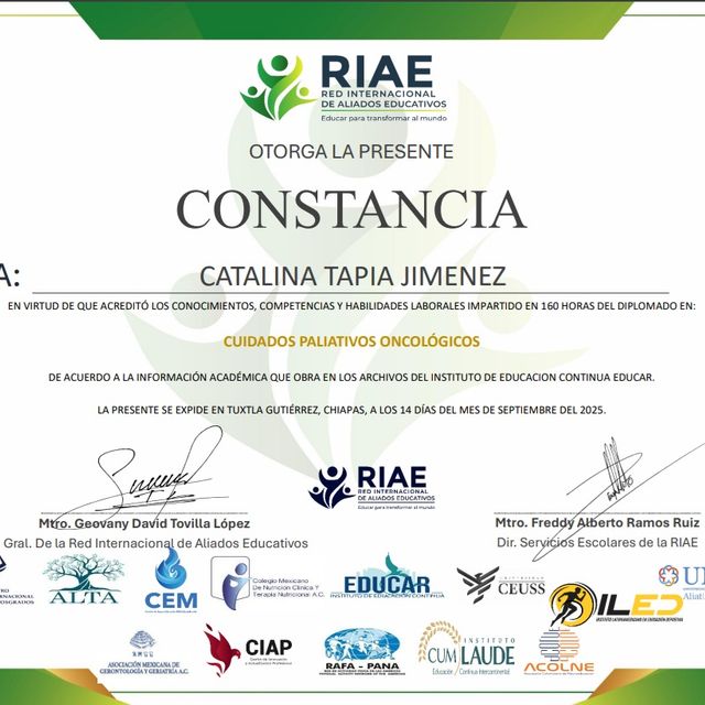 Ampliar imagen: certificate 16