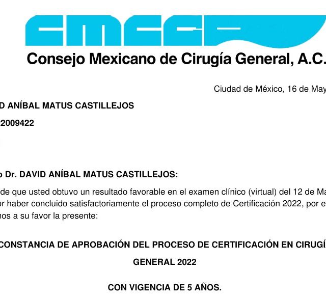 Ampliar imagen: certificate 1