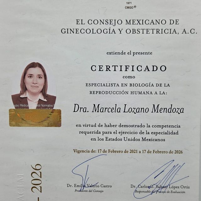 Ampliar imagen: certificate 1
