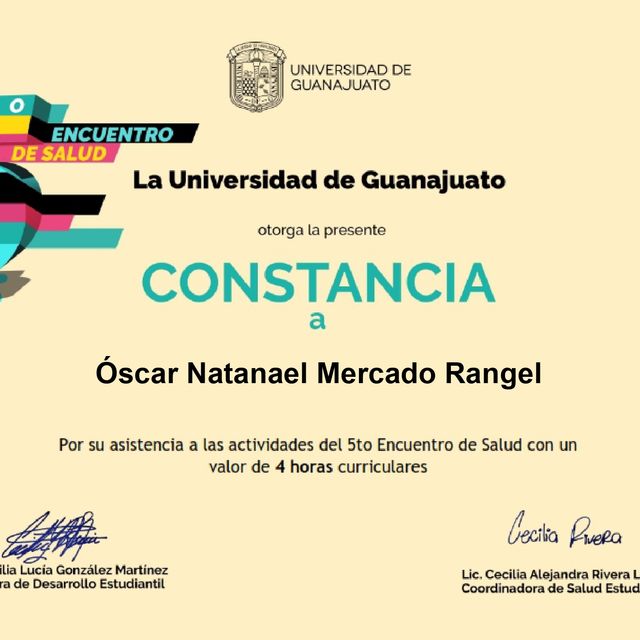 Ampliar imagen: certificate 19