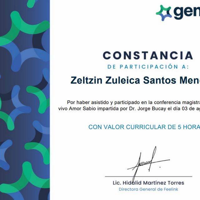 Ampliar imagen: certificate 11