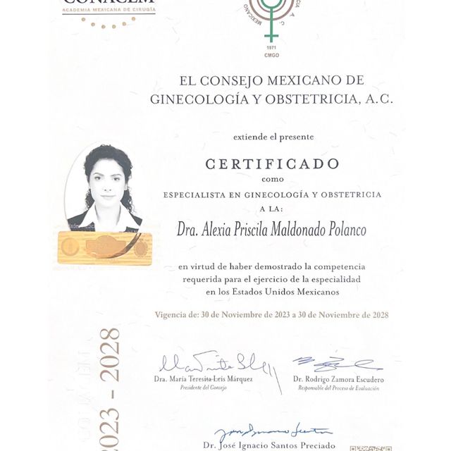 Ampliar imagen: certificate 1
