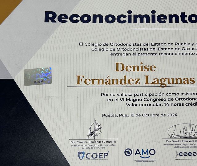 Ampliar imagen: certificate 6