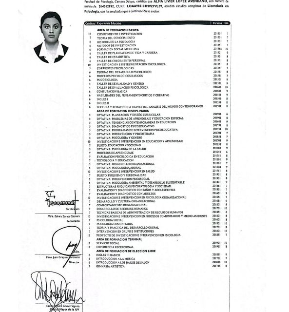 Ampliar imagen: certificate 3