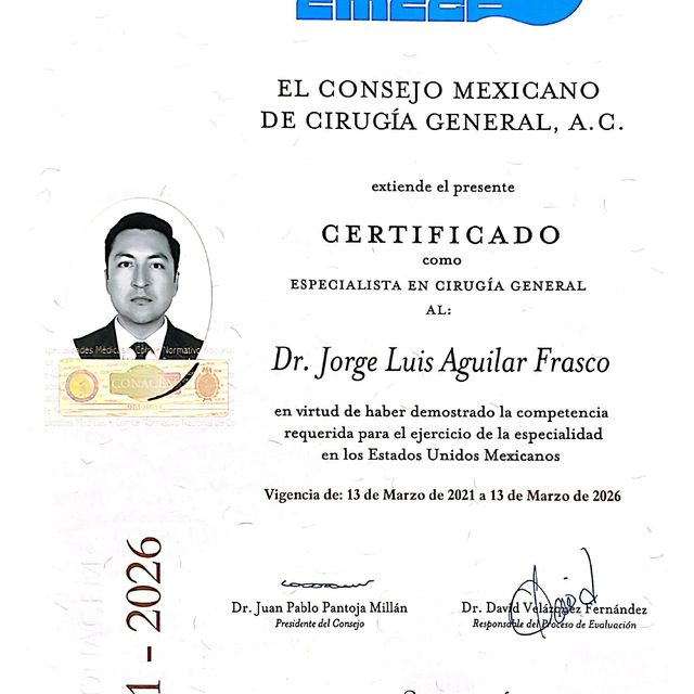 Ampliar imagen: certificate 2