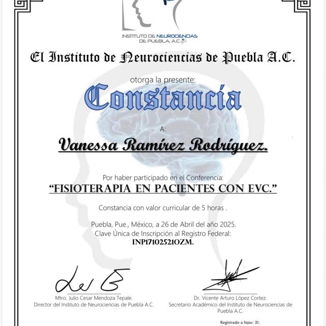 Ampliar imagen: certificate 3