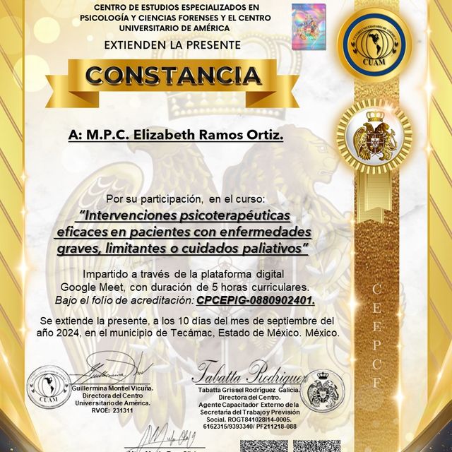 Ampliar imagen: certificate 2