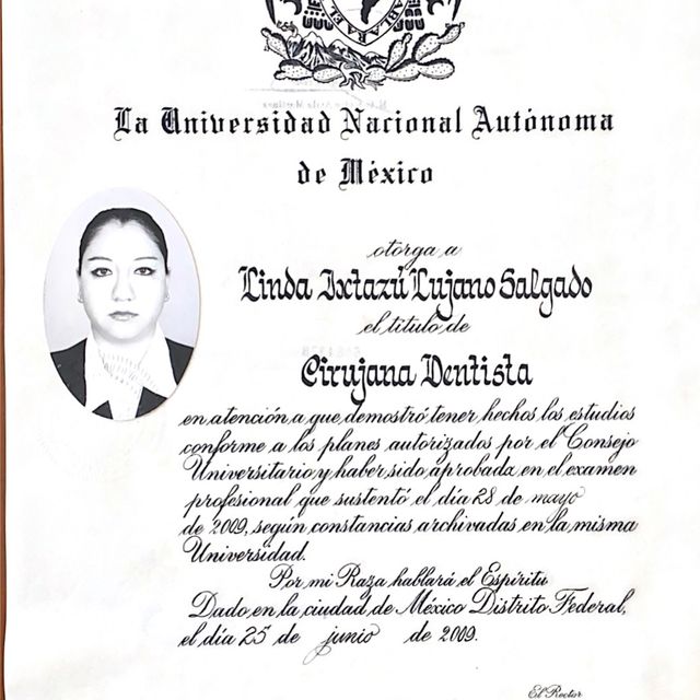 Ampliar imagen: certificate 2