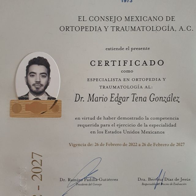 Ampliar imagen: certificate 1