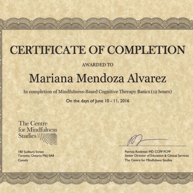 Ampliar imagen: certificate 1