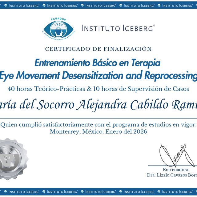 Ampliar imagen: certificate 9