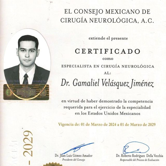 Ampliar imagen: certificate 4