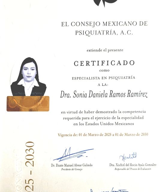 Ampliar imagen: certificate 2