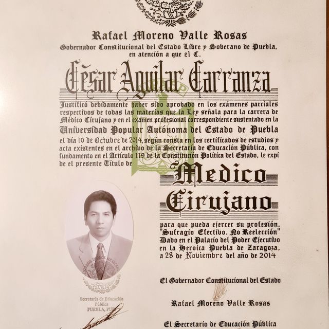 Ampliar imagen: certificate 2