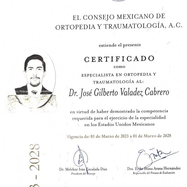 Ampliar imagen: certificate 5