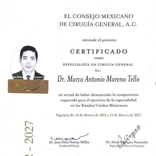 Ampliar imagen: certificate 2
