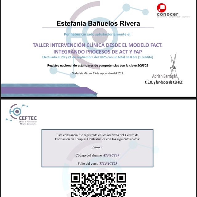 Ampliar imagen: certificate 1